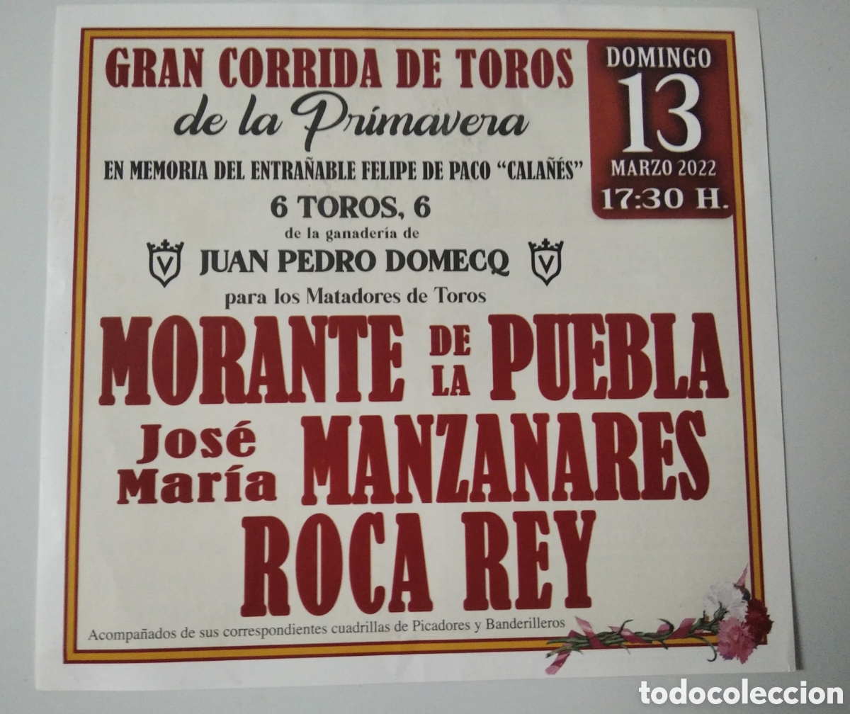 Carteles toros: CARTEL DE TOROS EN CEHEG&Iacute;N - Foto 1