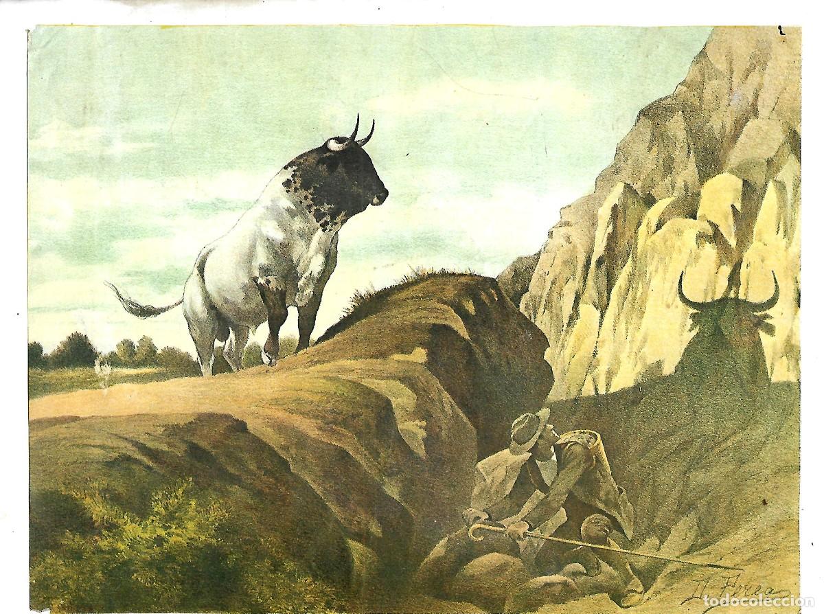 Carteles toros: RT- LAMINA TOROS - TORERO DE PEREA EL PODER DE UNA SOMBRA - Foto 1