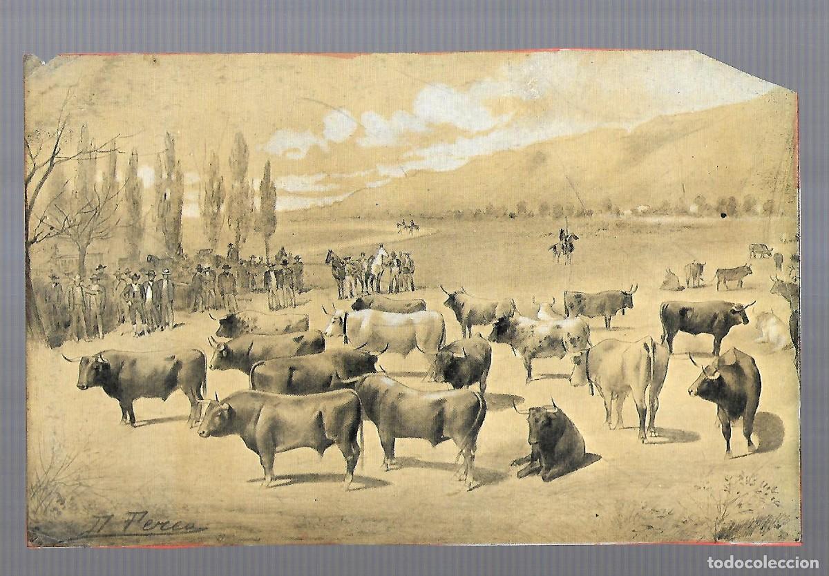 Carteles toros: RT- LAMINA TOROS - DE PEREA MANADA DE TOROS EN LA PRADERA - Foto 1