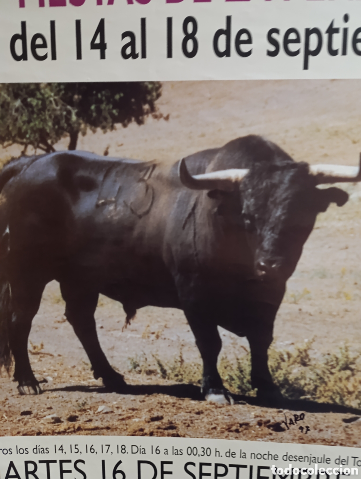 Carteles toros: Toro de la Vega 1997 - Foto 2