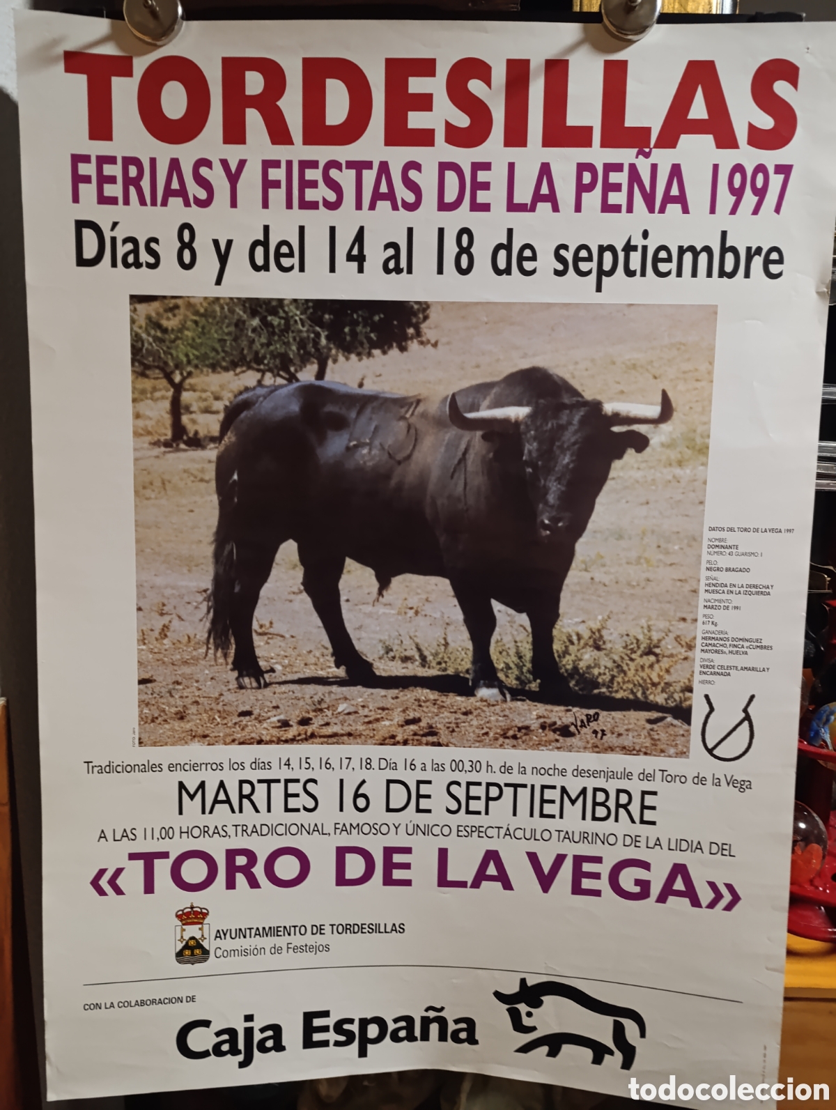 Carteles toros: Toro de la Vega 1997 - Foto 1