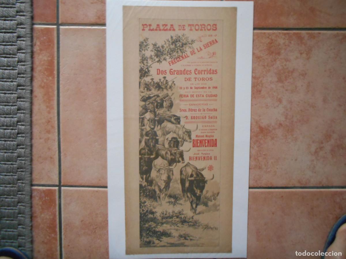Carteles toros: CARTEL DE TOROS DE FENEGAL DE LA SIERRA 1908