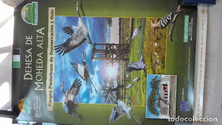 Carteles de turismo: EXTREMADURA DEHESA DE MOHEDA ALTA - Foto 1