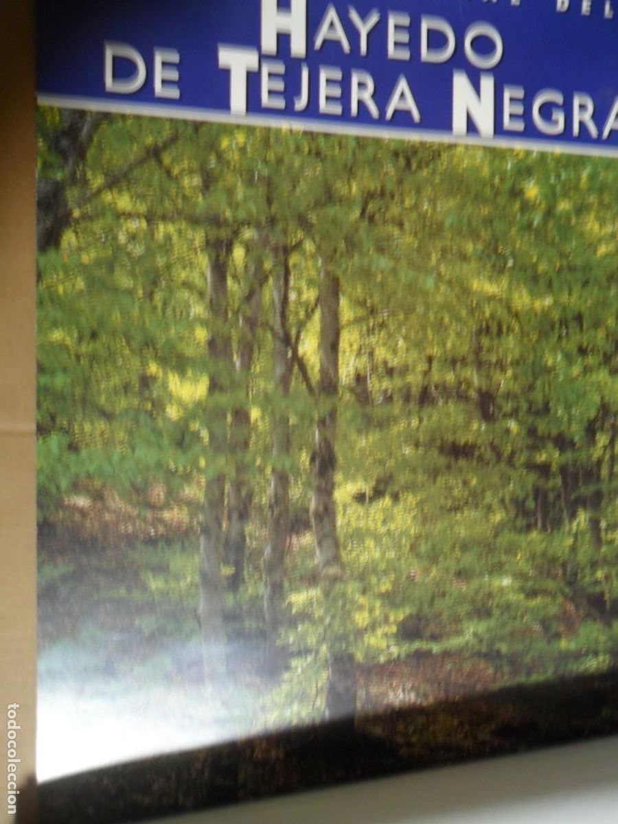 Carteles de turismo: HAYEDO DE TEJERA NEGRA - Foto 1