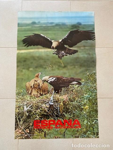 Carteles de Turismo: CARTEL TURISMO ESPA&Ntilde;A. SERIE PARQUES NACIONALES. DO&Ntilde;ANA