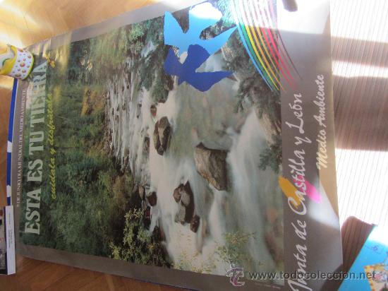 Carteles: ESTA ES TU TIERRA 98X69 CMS - Foto 1