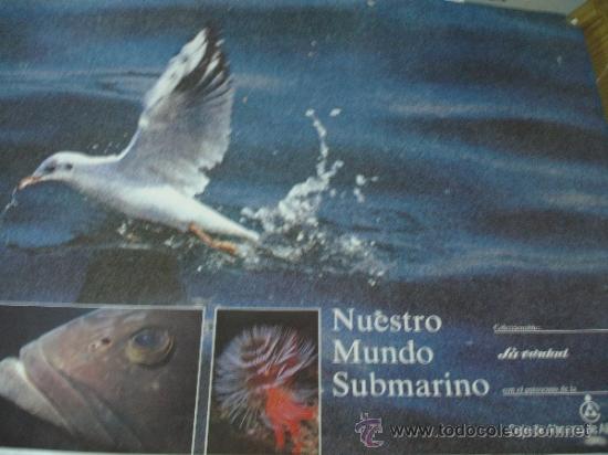 Carteles: NUESTRO MUNDO SUBMARINO LA VERDAD - Foto 1