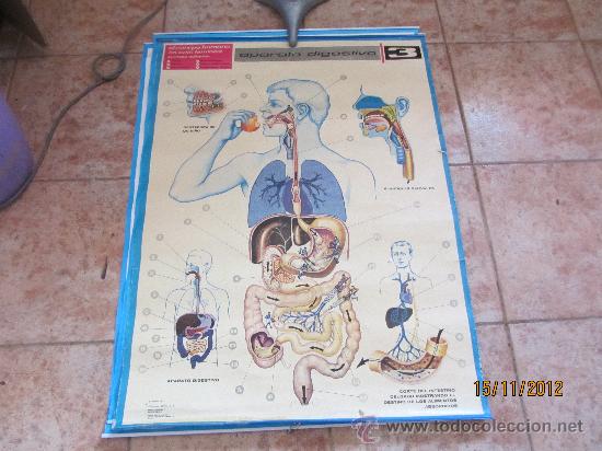 Carteles: CARTEL EDUCATIvo JOVER S.A. - Foto 1