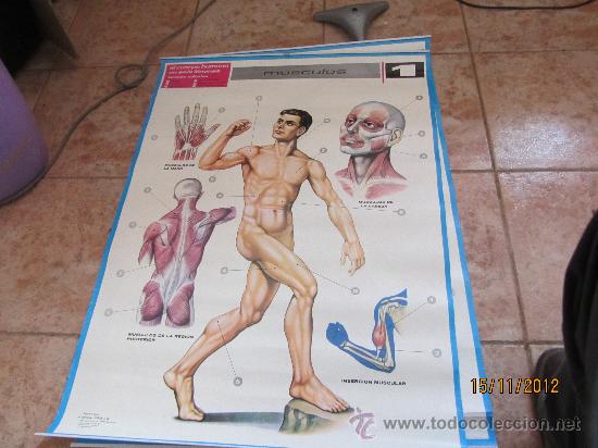 Carteles: CARTEL EDUCATIVO  JOVER S.A. - Foto 1