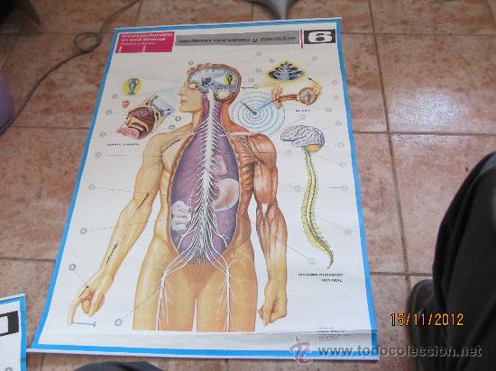 Carteles: CARTEL EDUCATIVO  JOVER S.A. - Foto 1