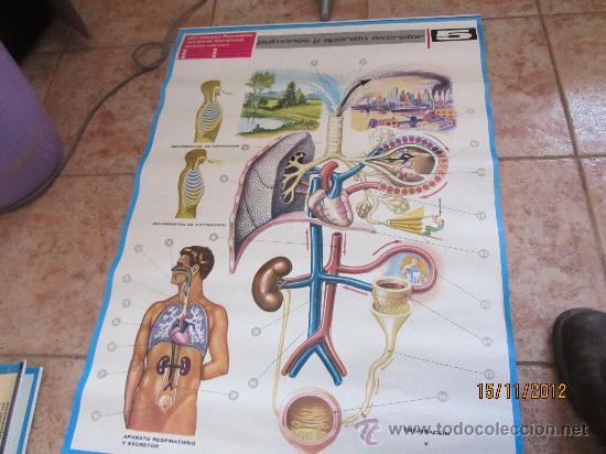 Carteles: CARTEL EDUCATIVO  JOVER S.A. - Foto 1