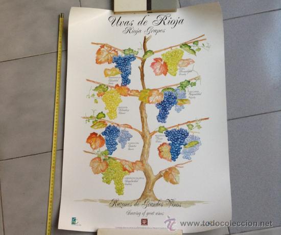Carteles: Cartel uvas de rioja - Foto 1