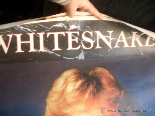 Carteles: Vintage poster de White Snake 90x60cm - Foto 2