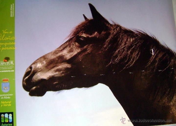 Carteles: CABALLO ASTURC&Oacute;N. ASTURIAS - Foto 1