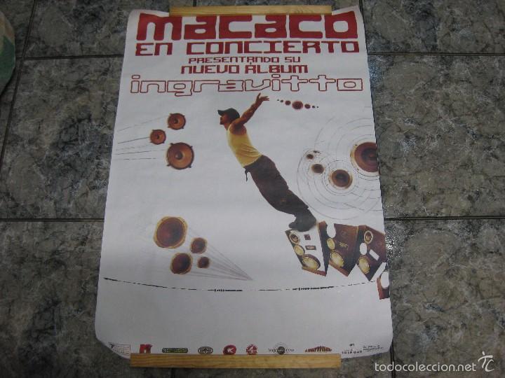 Carteles: POSTER MACACO, INGRAVVITTO - Foto 1