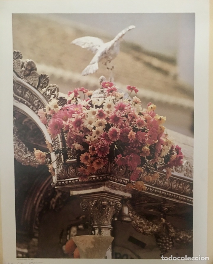 Carteles: L&aacute;mina Hermandad del Roc&iacute;o de Triana - Foto 1