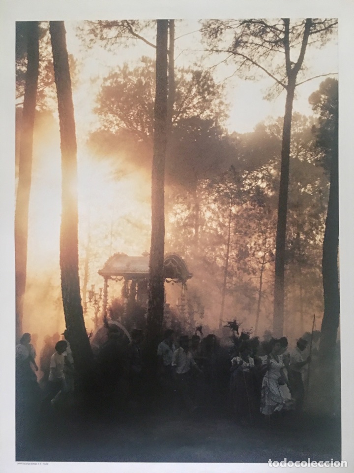 Carteles: L&aacute;mina Hermandad del Roc&iacute;o de Triana - Foto 1