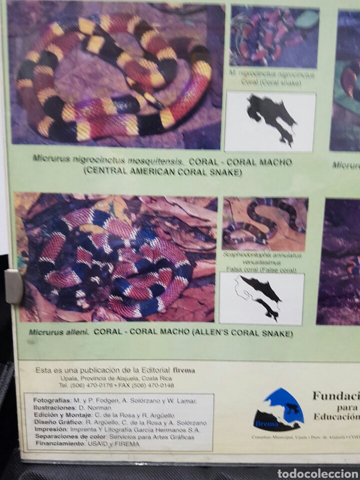 Carteles: CARTEL MURAL SERPIENTES Venenosas # - Foto 3
