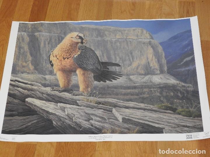 Carteles: POSTER QUEBRANTAHUESOS - Foto 1