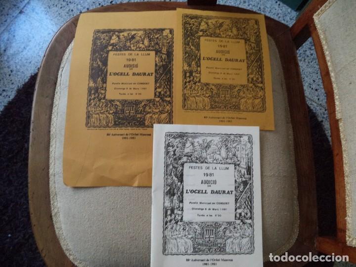 Carteles: Programa Festes de la Llum de Manresa 1981 - Foto 1