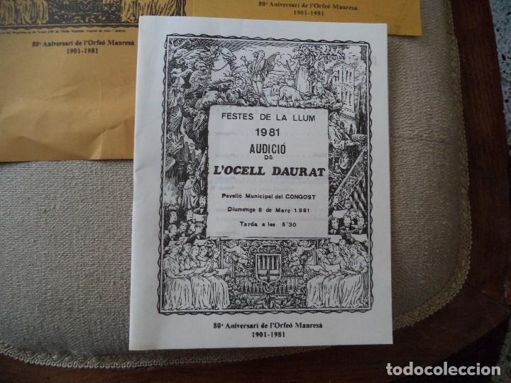 Carteles: Programa Festes de la Llum de Manresa 1981 - Foto 2