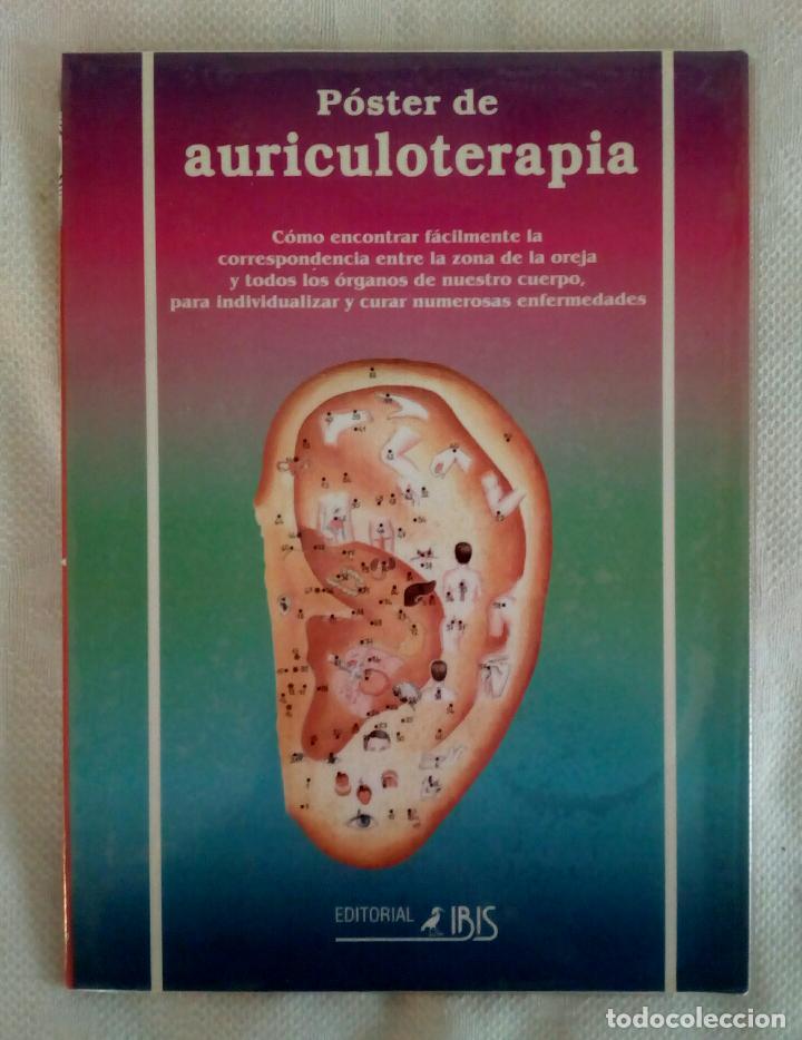 Carteles: AURICULOTERAPIA, P&Oacute;STER 43 x 66 - Foto 1