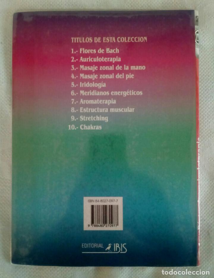 Carteles: AURICULOTERAPIA, P&Oacute;STER 43 x 66 - Foto 4