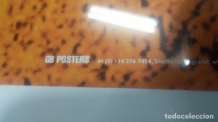 Carteles: Botito poster de Bruce Lee enmarcado 1x70m - Foto 8