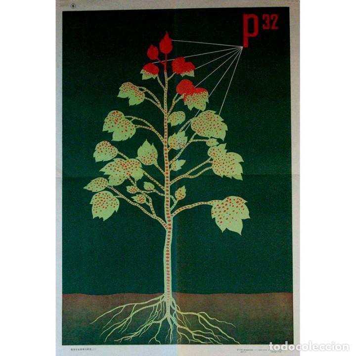 Carteles: POSTER EDUCACIONAL CHINO - Foto 1