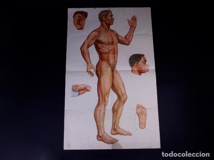 Carteles: POSTER DE ACUMPURA CHINO - Foto 1