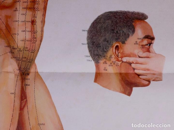 Carteles: POSTER DE ACUMPURA CHINO - Foto 2