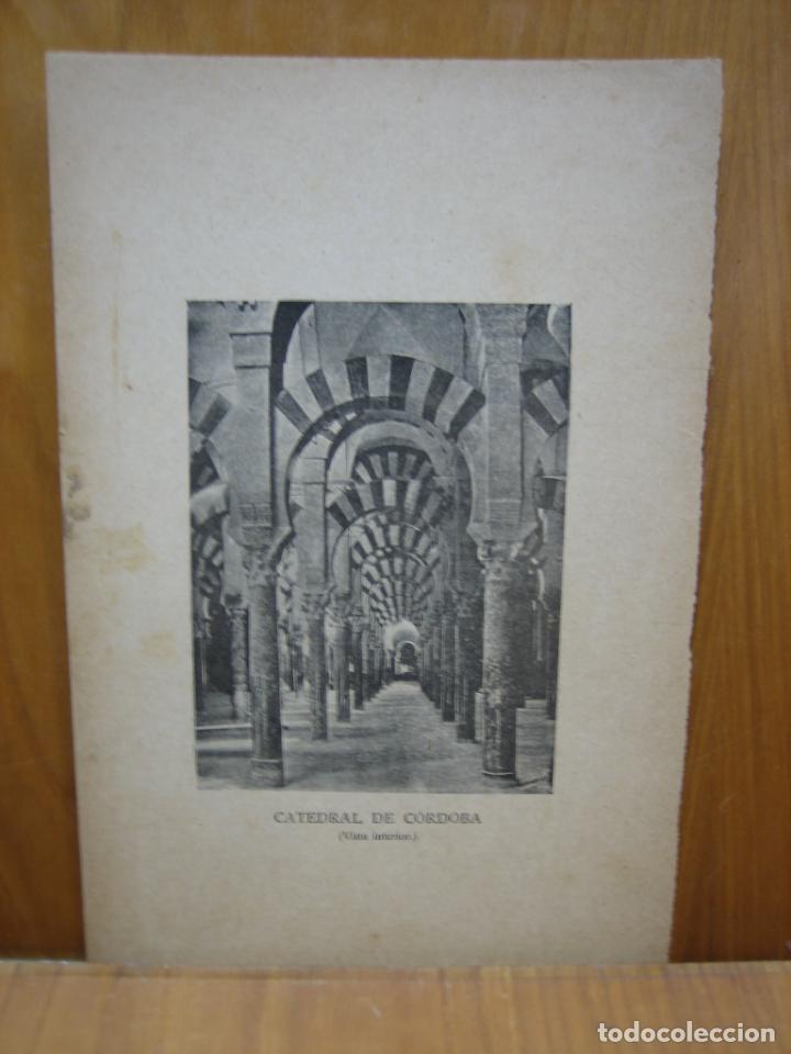 Carteles: Hoja de libro cartel de arqueologia - Foto 1