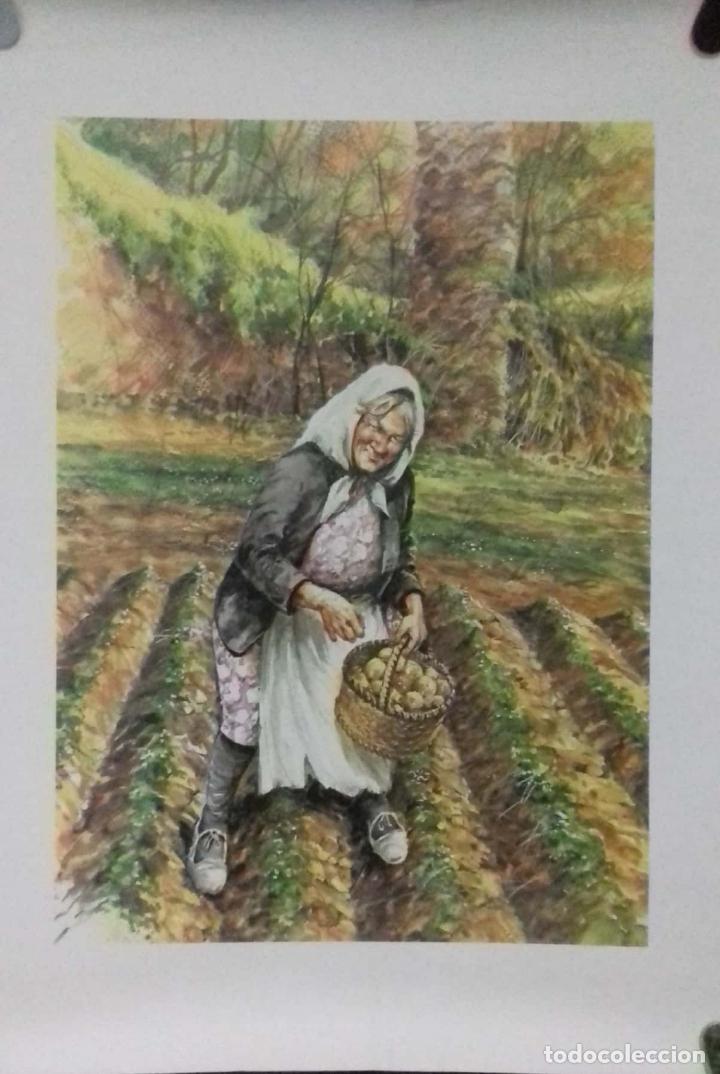 Carteles: CARTEL. CAMPESINA RECOLECTANDO. - Foto 1