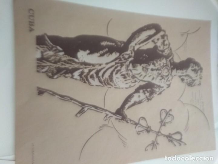 Carteles: L&aacute;mina o litograf&iacute;a de cuba - Foto 1