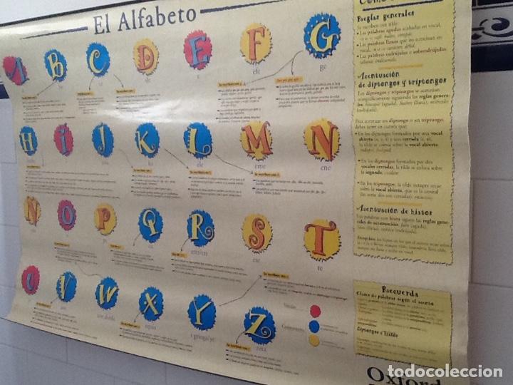 Carteles: P&Oacute;STER CON LAS REGLAS DE ORTOGRAFIA - Foto 4