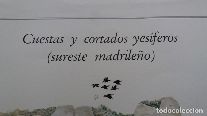 Carteles: Carteles Laminas ecosistemas Espa&ntilde;a - Foto 2