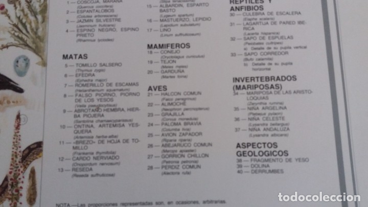 Carteles: Carteles Laminas ecosistemas Espa&ntilde;a - Foto 3