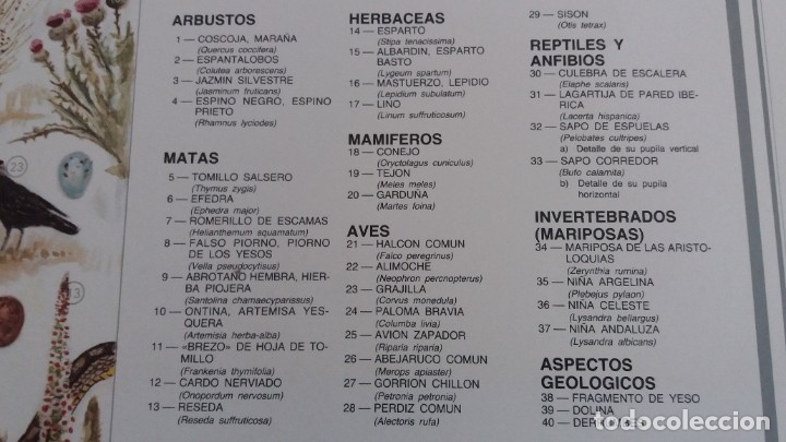 Carteles: Carteles Laminas ecosistemas Espa&ntilde;a - Foto 5