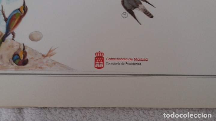 Carteles: Carteles Laminas ecosistemas Espa&ntilde;a - Foto 6