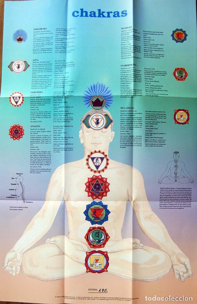 Carteles: Carpeta P&oacute;ster de los Chakras (nuevo) - Foto 2