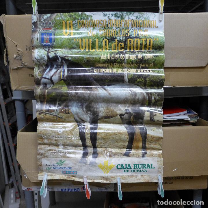 Carteles: VI CONCURSO MORFOFUNCIONAL DE CABALLOS P.R.E. VILLA DE ROTA 2000 - Foto 1