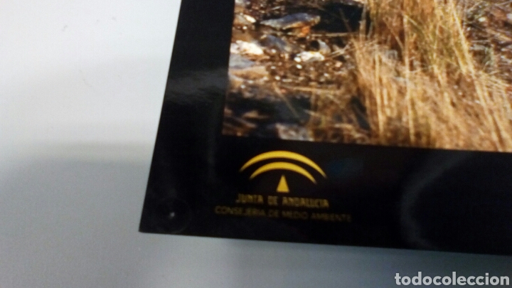 Carteles: Cartel Poster Sierra Nevada - Foto 2