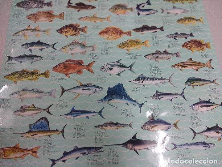 Carteles: POSTER PECES/TIBURONES-SALMONES. - Foto 3