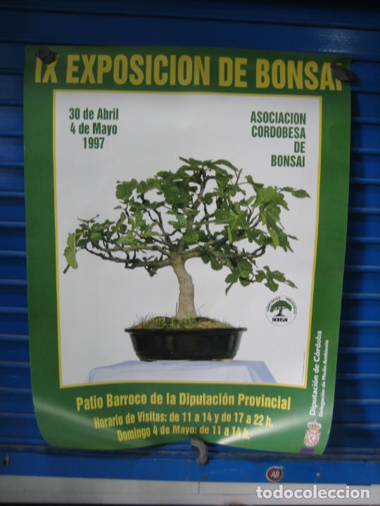 Carteles: Cartel Cordoba. - Foto 1