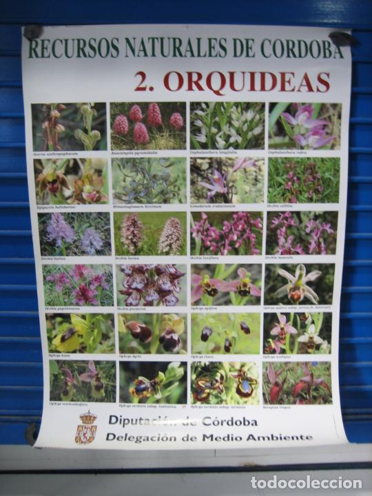 Carteles: Cartel Cordoba. - Foto 1