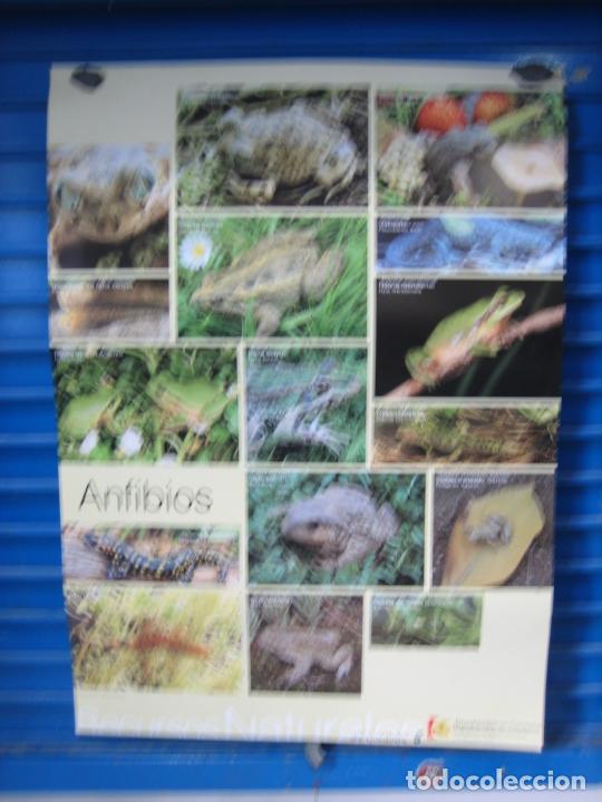 Carteles: Antiguo cartel Cordoba. - Foto 1