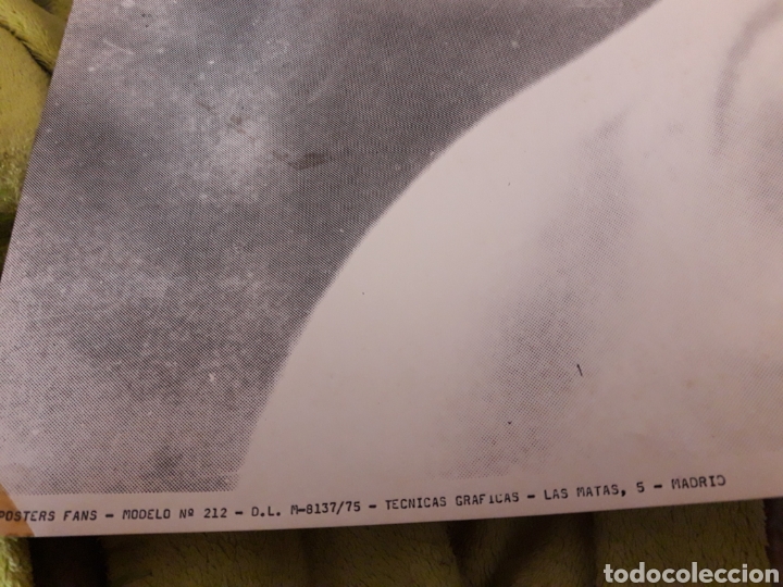 Carteles: Gran p&oacute;ster de Einstein de p&oacute;ster Fans - Foto 2