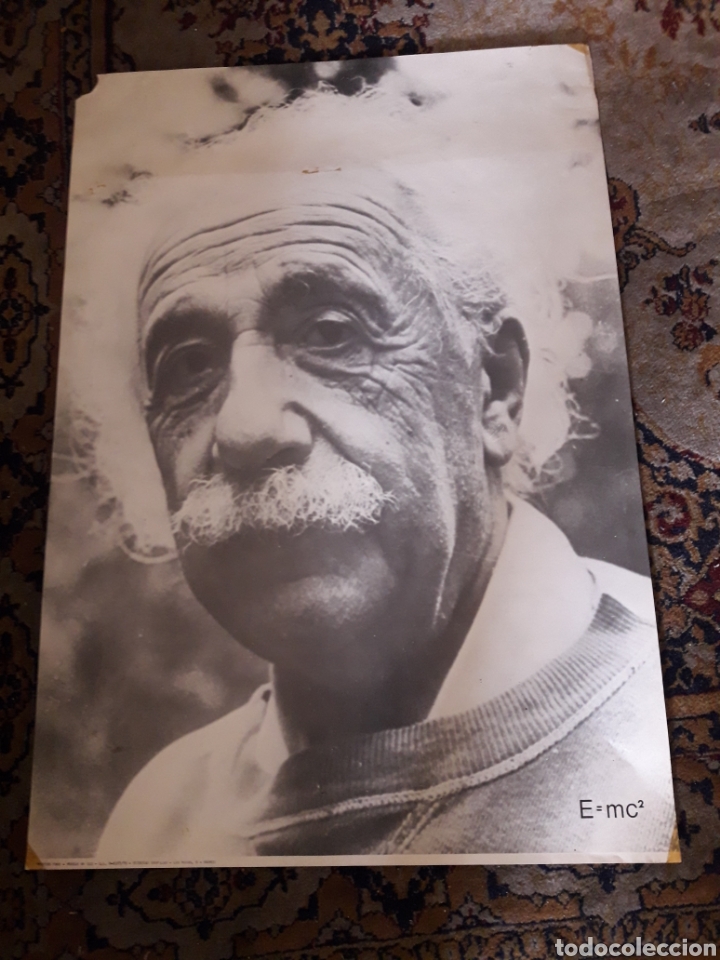 Carteles: Gran p&oacute;ster de Einstein de p&oacute;ster Fans - Foto 1