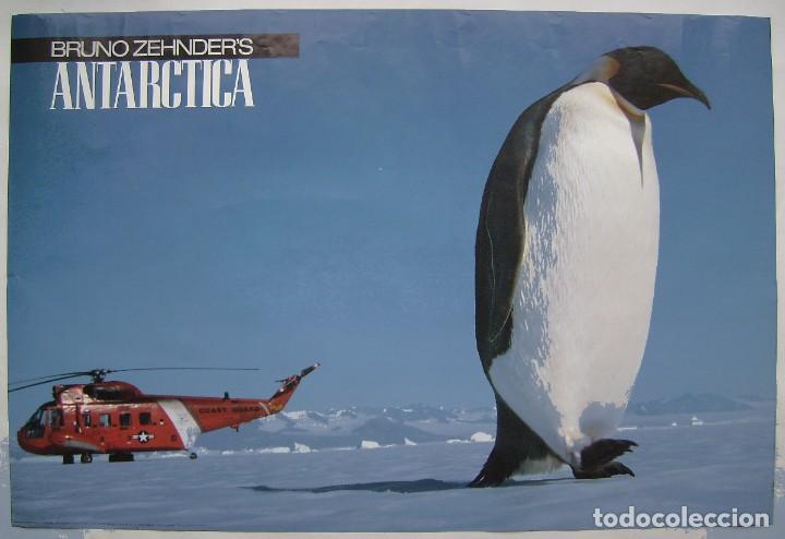 Carteles: PING&Uuml;INO. P&Oacute;STER 59,5 X 89 cms. - Foto 1