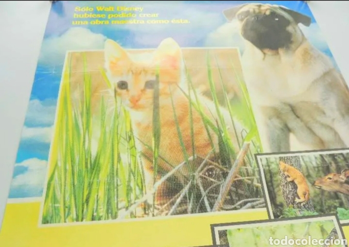 Carteles: ~ CARTEL DE CINE &ndash; LAS AVENTURAS DE CHATRAN ~ - Foto 2